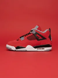 Air Jordan 4 Toro Bravo