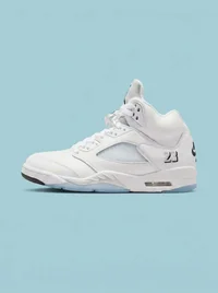 Air Jordan 5 Retro OG White and Metallic Silver