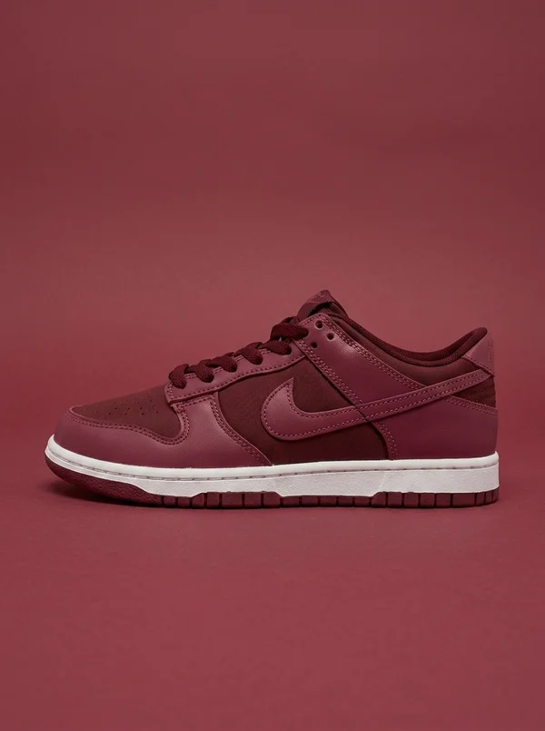 Nike Dunk Low Casual Shoes